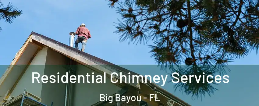 Residential Chimney Services Big Bayou - FL