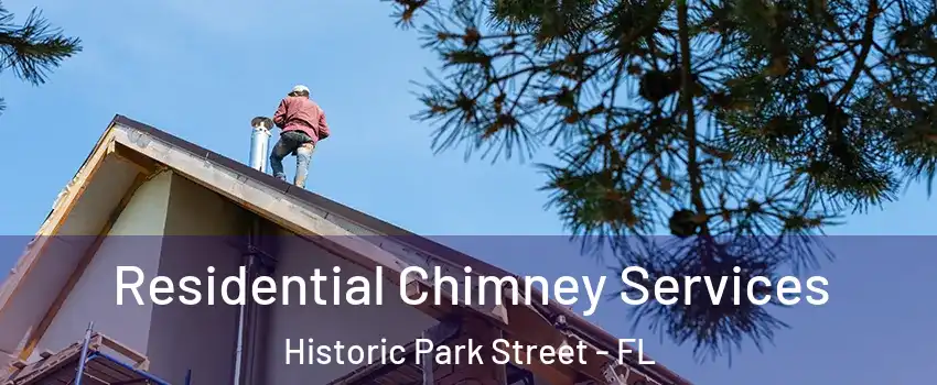 Residential Chimney Services Historic Park Street - FL