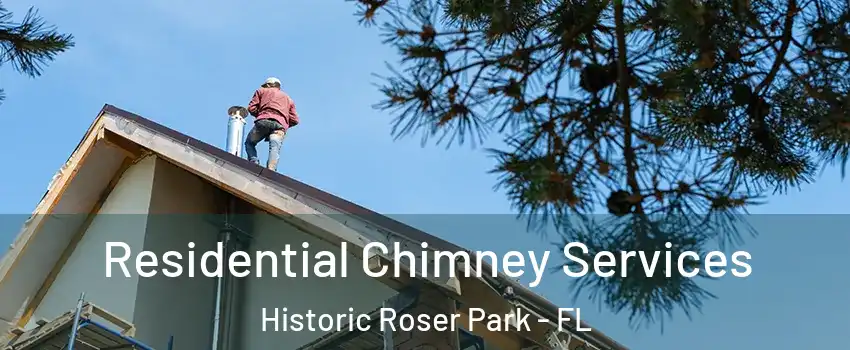 Residential Chimney Services Historic Roser Park - FL