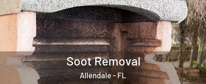 Soot Removal Allendale - FL