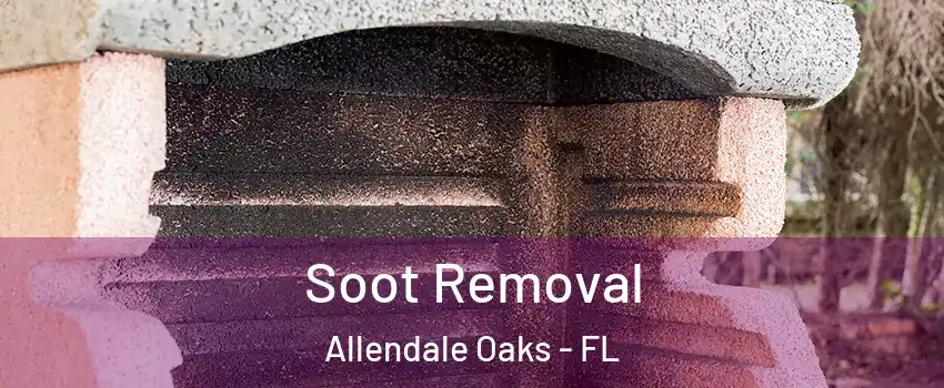 Soot Removal Allendale Oaks - FL