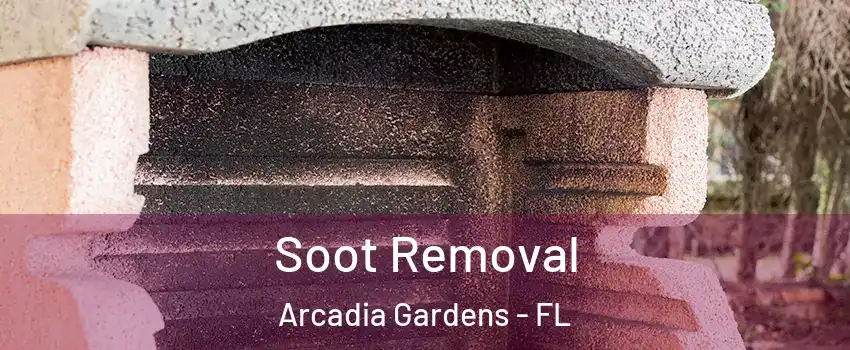 Soot Removal Arcadia Gardens - FL