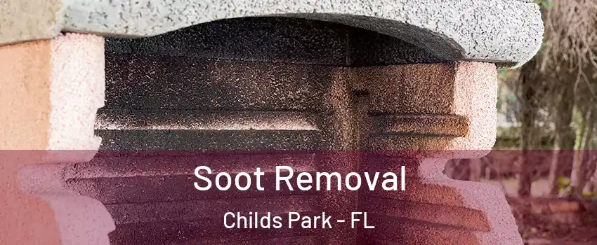 Soot Removal Childs Park - FL