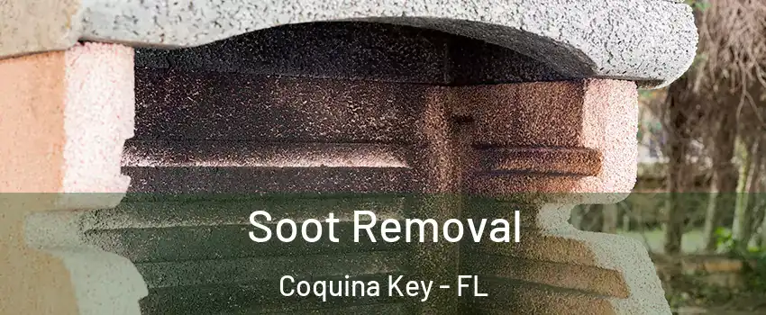 Soot Removal Coquina Key - FL