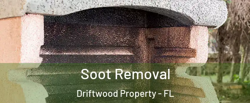 Soot Removal Driftwood Property - FL