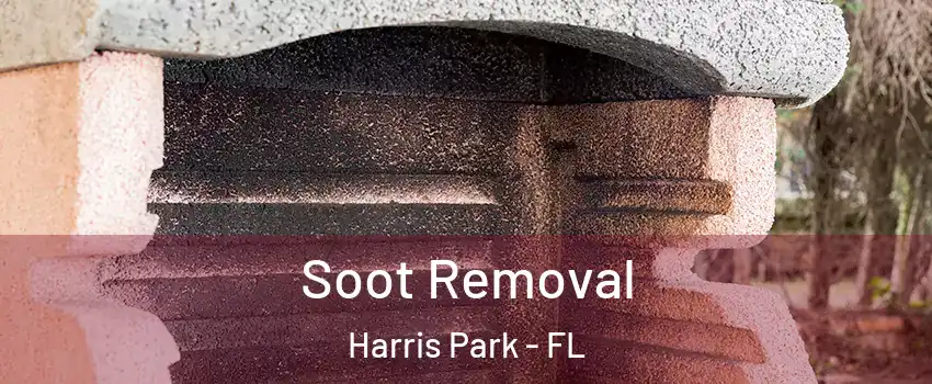 Soot Removal Harris Park - FL
