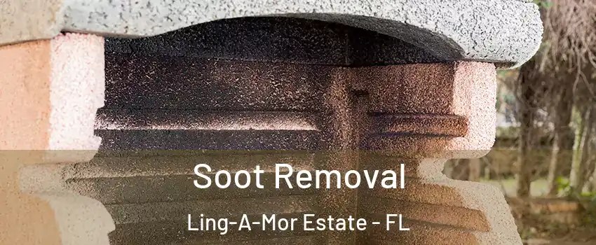 Soot Removal Ling-A-Mor Estate - FL