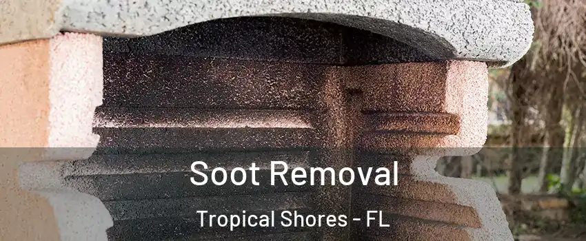 Soot Removal Tropical Shores - FL