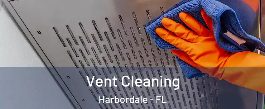 Vent Cleaning Harbordale - FL