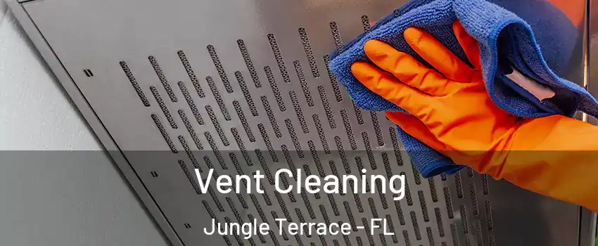 Vent Cleaning Jungle Terrace - FL