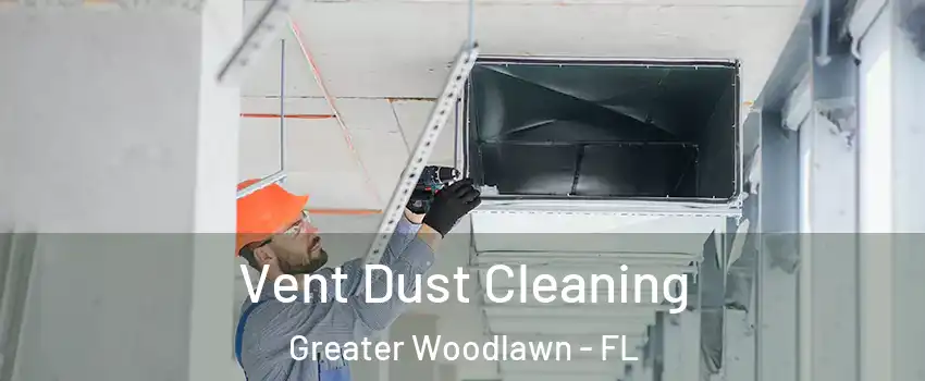 Vent Dust Cleaning Greater Woodlawn - FL