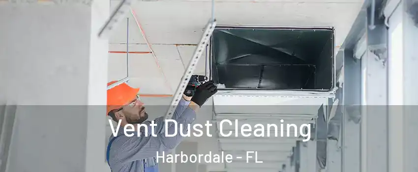 Vent Dust Cleaning Harbordale - FL