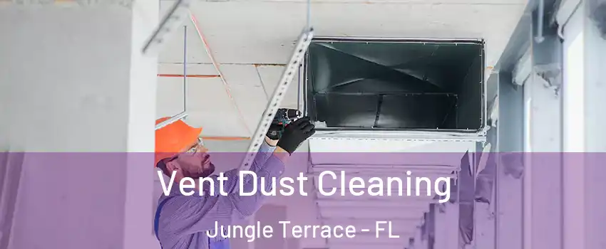 Vent Dust Cleaning Jungle Terrace - FL