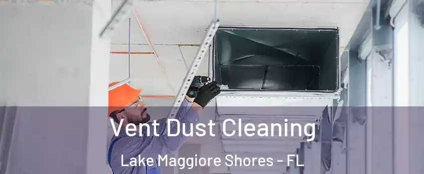 Vent Dust Cleaning Lake Maggiore Shores - FL