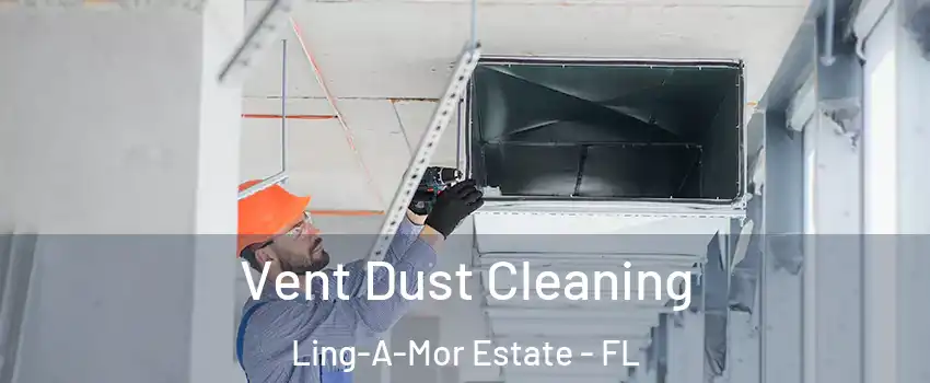 Vent Dust Cleaning Ling-A-Mor Estate - FL