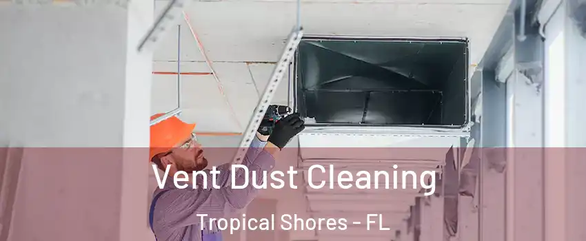 Vent Dust Cleaning Tropical Shores - FL