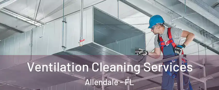 Ventilation Cleaning Services Allendale - FL