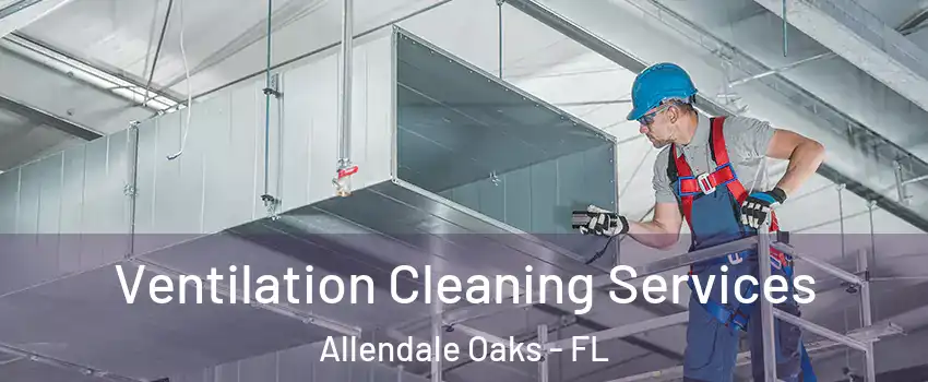 Ventilation Cleaning Services Allendale Oaks - FL
