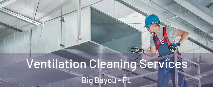 Ventilation Cleaning Services Big Bayou - FL