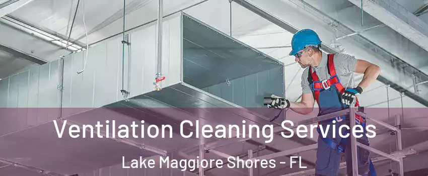 Ventilation Cleaning Services Lake Maggiore Shores - FL