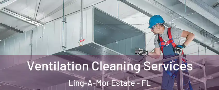 Ventilation Cleaning Services Ling-A-Mor Estate - FL