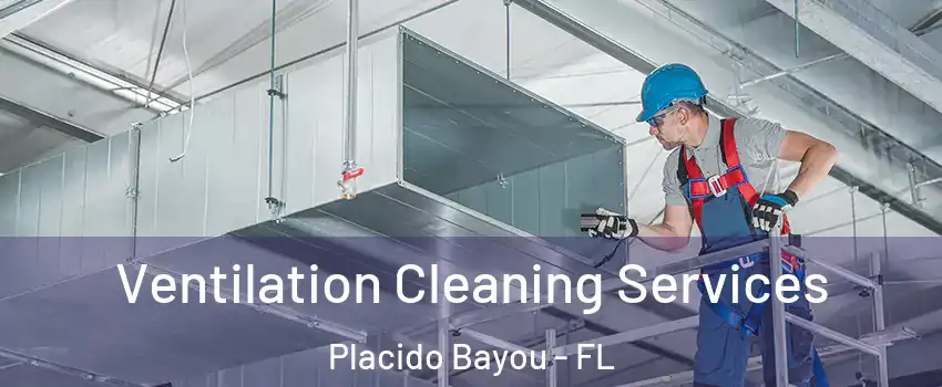 Ventilation Cleaning Services Placido Bayou - FL