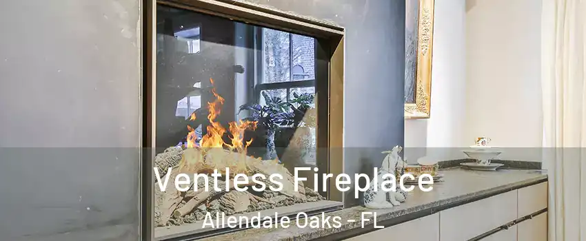 Ventless Fireplace Allendale Oaks - FL