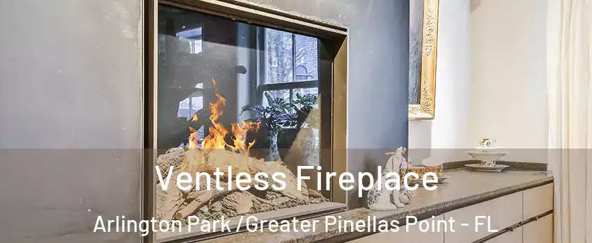 Ventless Fireplace Arlington Park /Greater Pinellas Point - FL