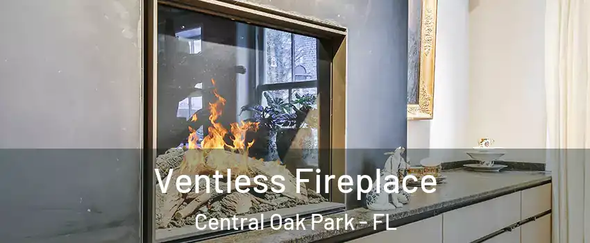 Ventless Fireplace Central Oak Park - FL