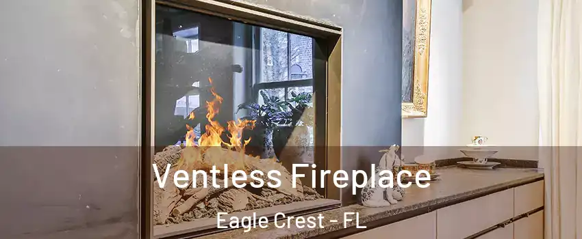 Ventless Fireplace Eagle Crest - FL