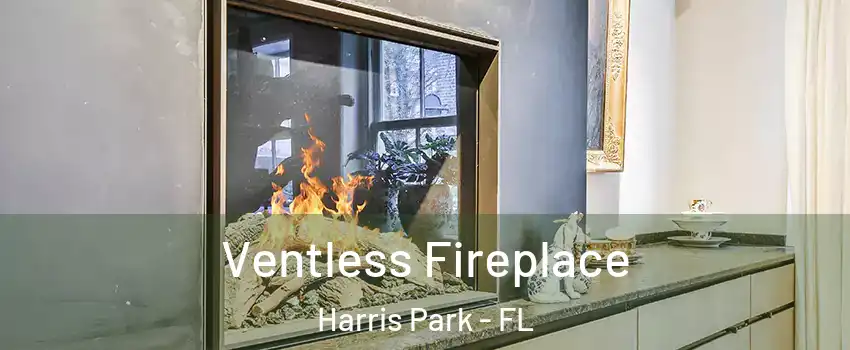 Ventless Fireplace Harris Park - FL