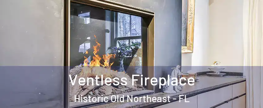 Ventless Fireplace Historic Old Northeast - FL