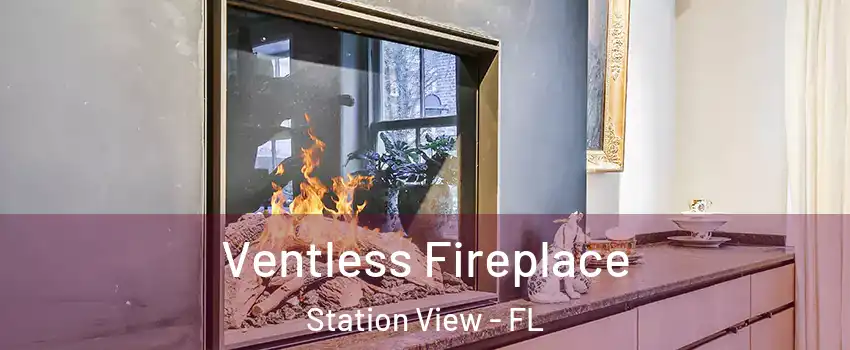 Ventless Fireplace Station View - FL