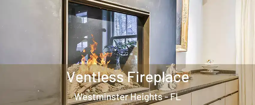 Ventless Fireplace Westminster Heights - FL