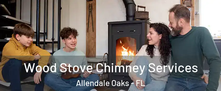 Wood Stove Chimney Services Allendale Oaks - FL
