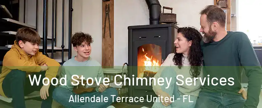 Wood Stove Chimney Services Allendale Terrace United - FL