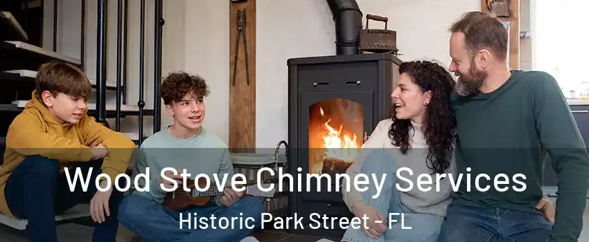 Wood Stove Chimney Services Historic Park Street - FL