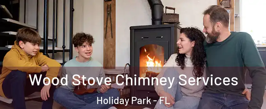 Wood Stove Chimney Services Holiday Park - FL