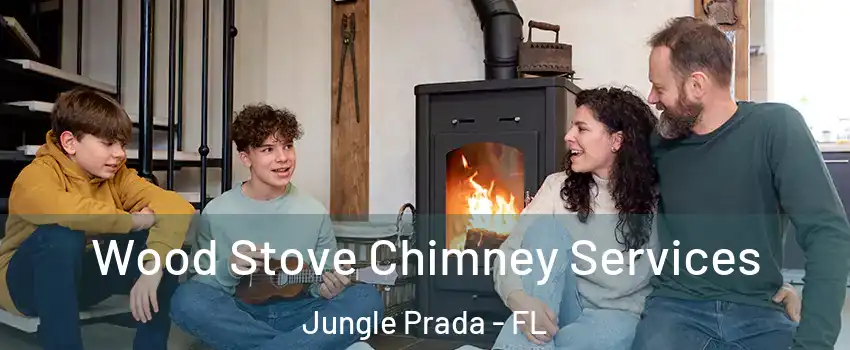 Wood Stove Chimney Services Jungle Prada - FL