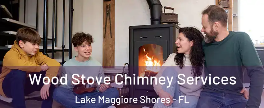 Wood Stove Chimney Services Lake Maggiore Shores - FL