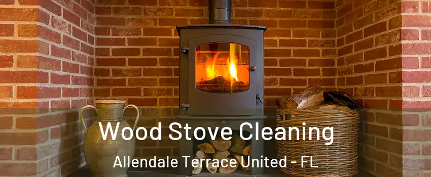 Wood Stove Cleaning Allendale Terrace United - FL