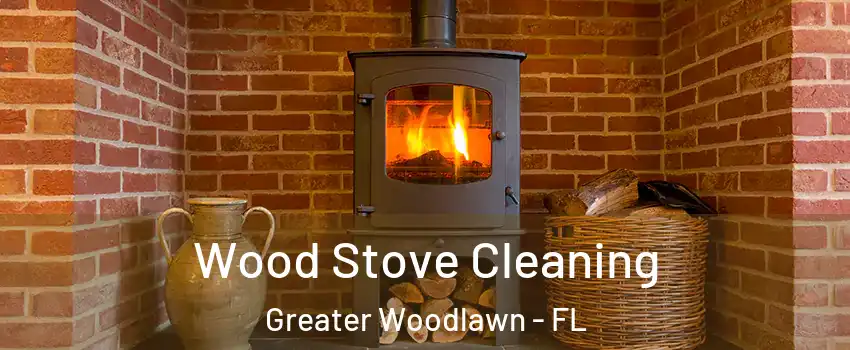 Wood Stove Cleaning Greater Woodlawn - FL