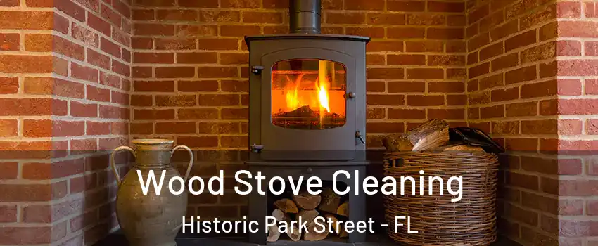 Wood Stove Cleaning Historic Park Street - FL