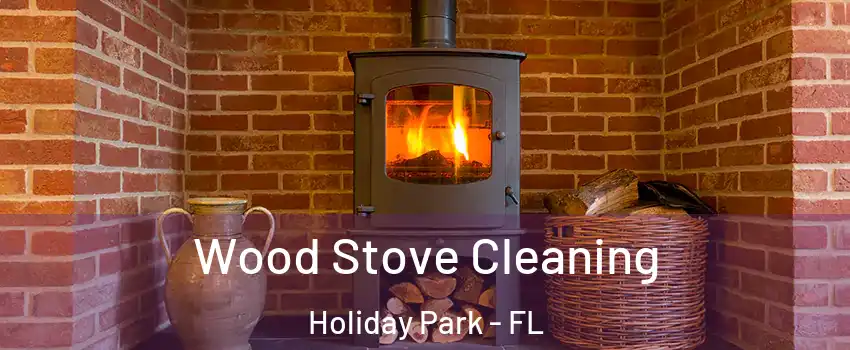 Wood Stove Cleaning Holiday Park - FL
