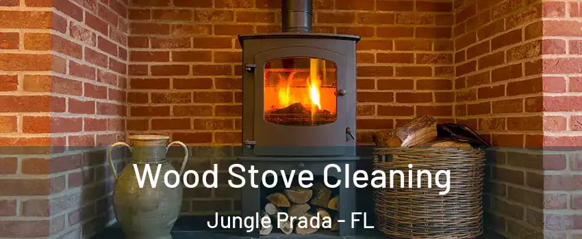 Wood Stove Cleaning Jungle Prada - FL