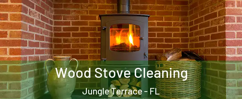 Wood Stove Cleaning Jungle Terrace - FL