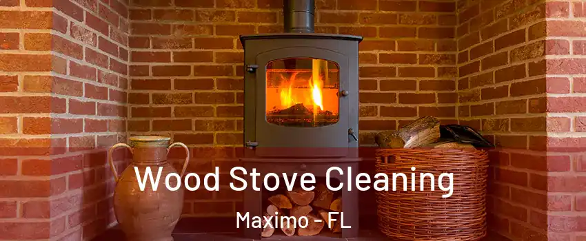 Wood Stove Cleaning Maximo - FL