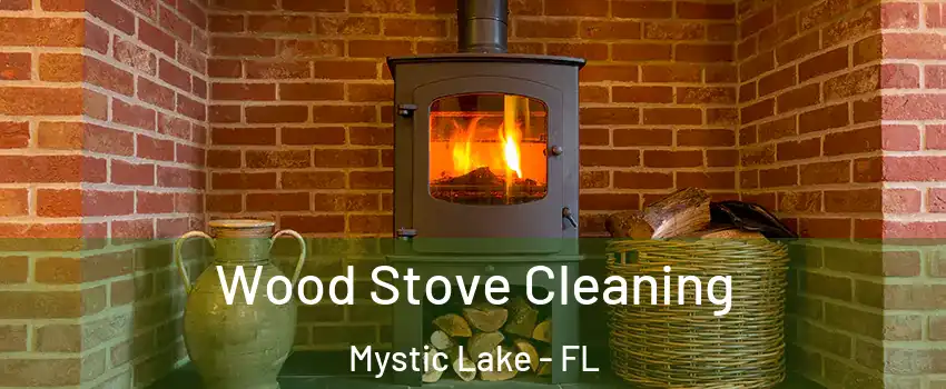 Wood Stove Cleaning Mystic Lake - FL