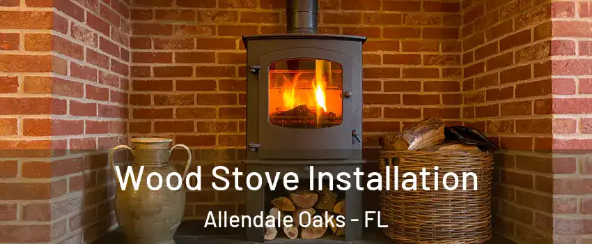 Wood Stove Installation Allendale Oaks - FL