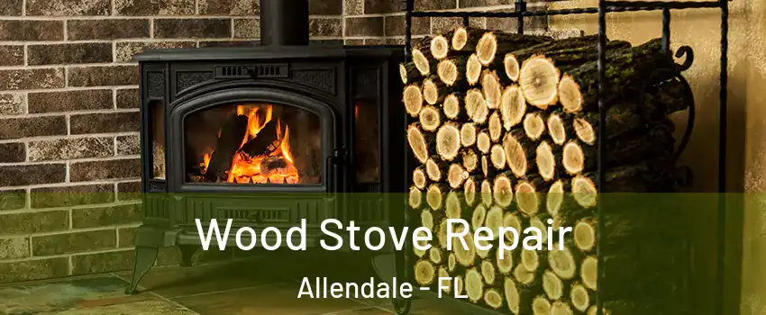 Wood Stove Repair Allendale - FL